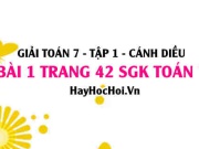 Giải bài 1 trang 42 Toán 7 Tập 1 SGK Cánh Diều